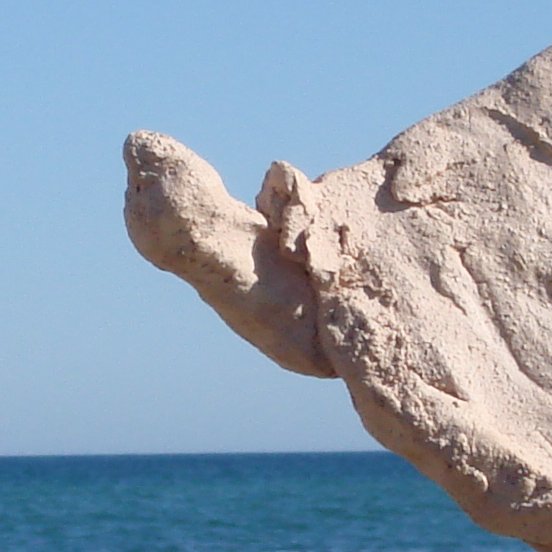 Alegria 25x50 15cm d2